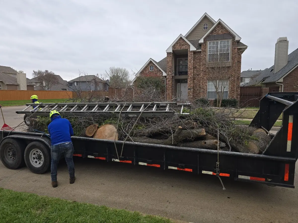 Expert Lot Clearing with proper safety equipment in Troy